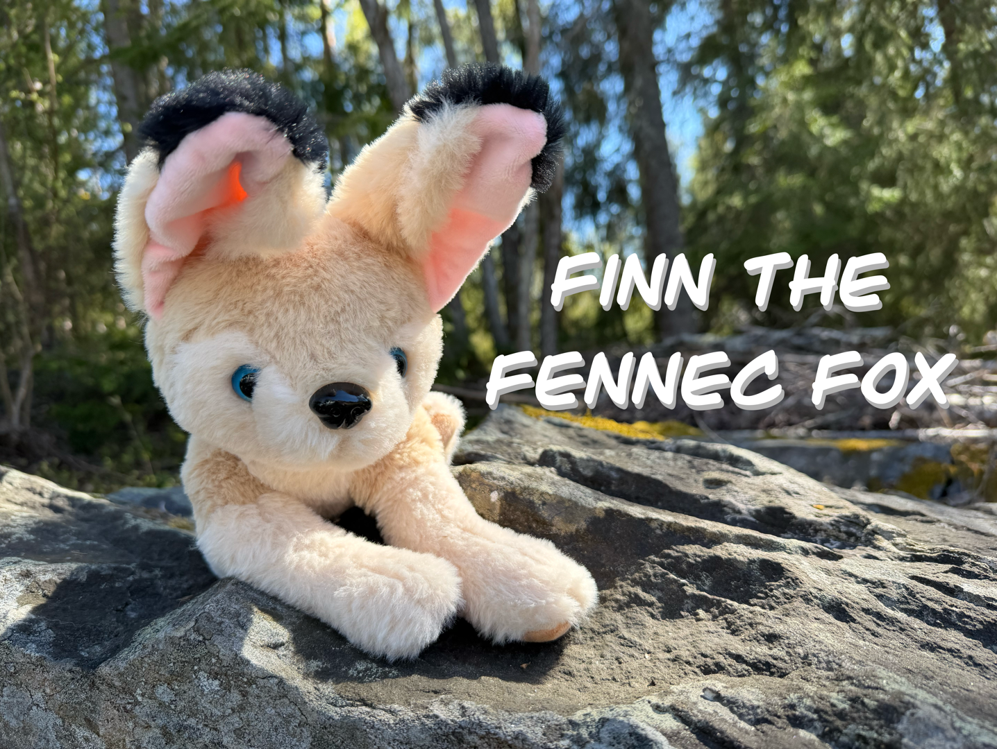 Get Ready for Finn the fennec fox plush
