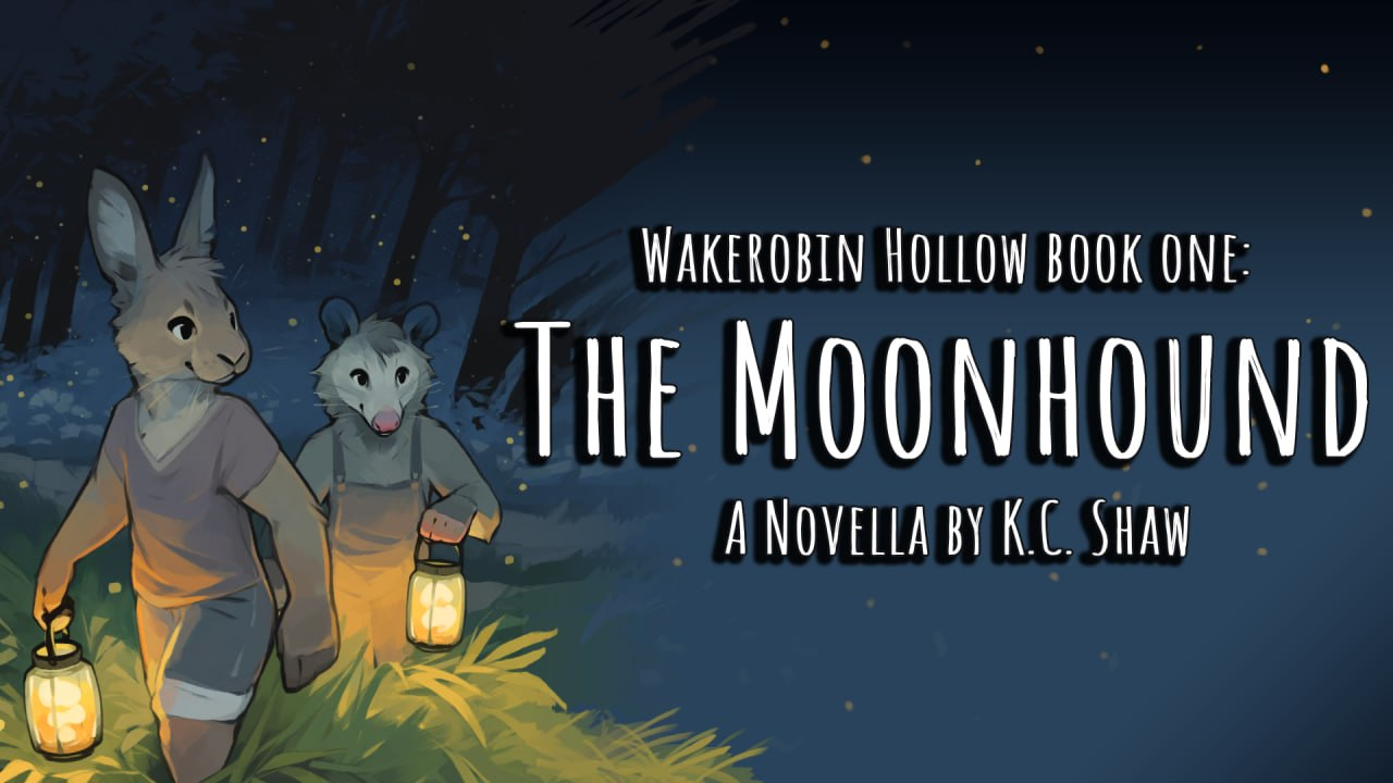 Get Ready for the Wakerobin Hollow book series launch!