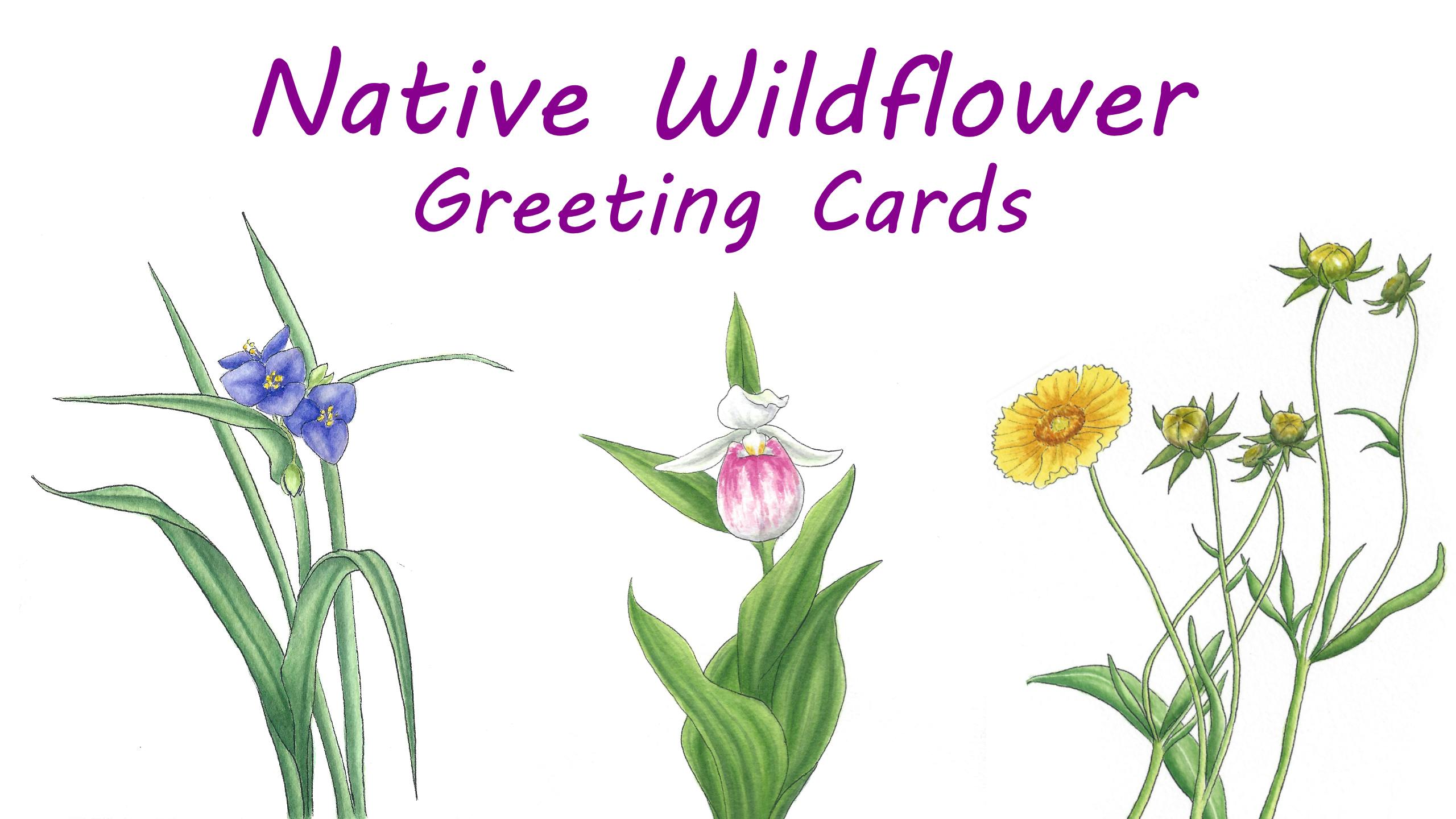 Get Ready for Native Wildflower Greeting Cards