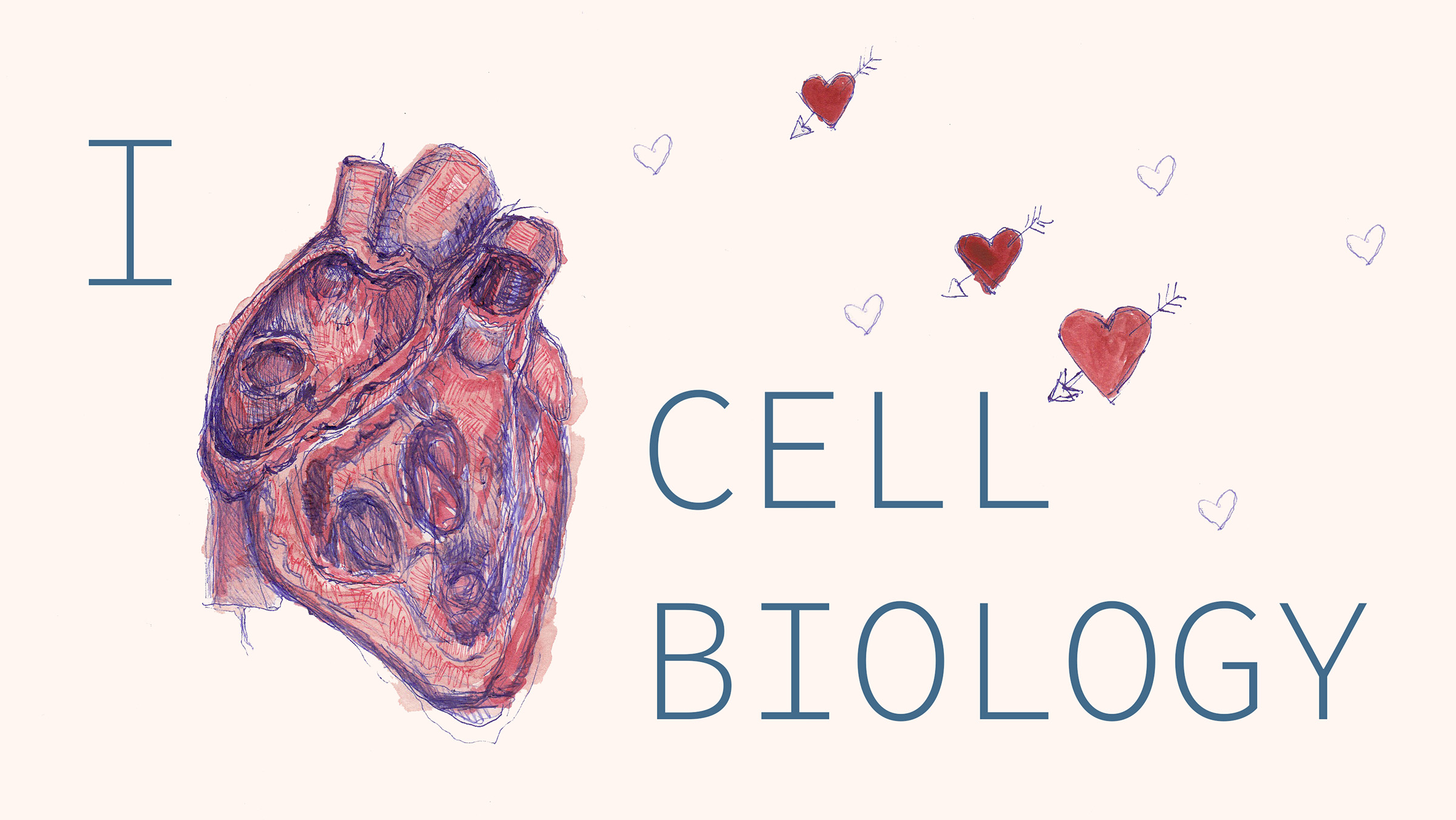 Get Ready for I Heart Cell Biology