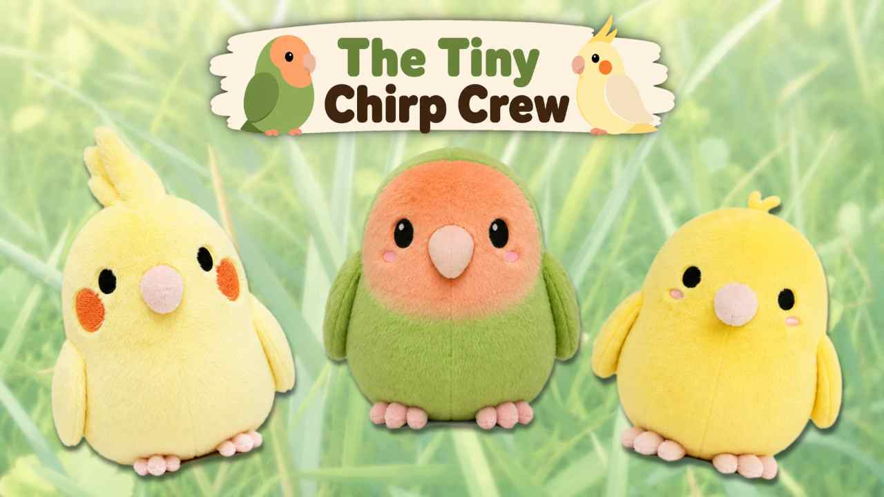 Get Ready for The Tiny Chirp Crew